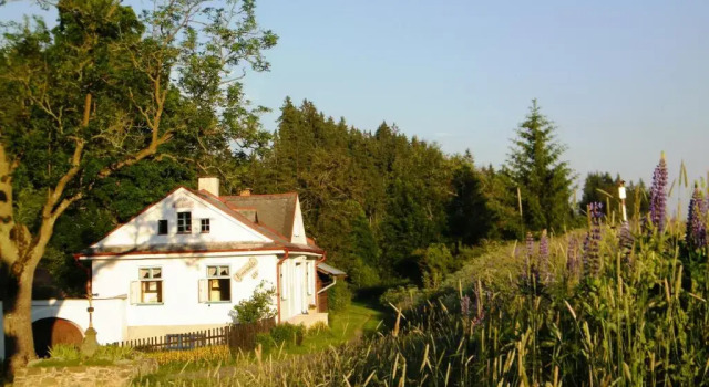 Hütte Rainmühle