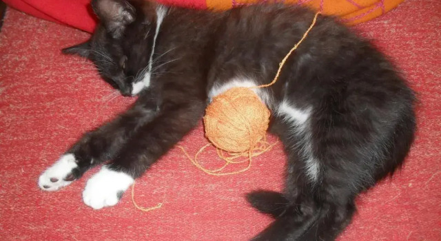 Коттедж Ferienhaus Duhra