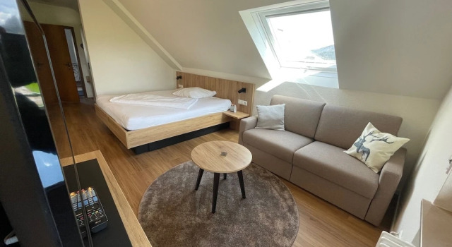 Номер Comfort Gasthaus Hirschenstube & Gästehaus Gehri