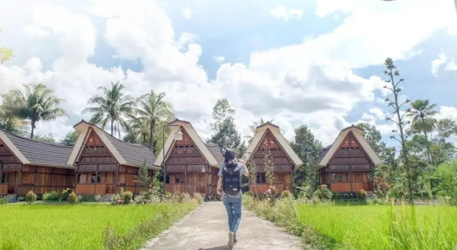 Люкс Toraja Misiliana Hotel