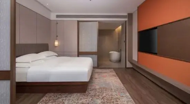 Люкс Business Anqing Taihu County Maison New Century Hotel