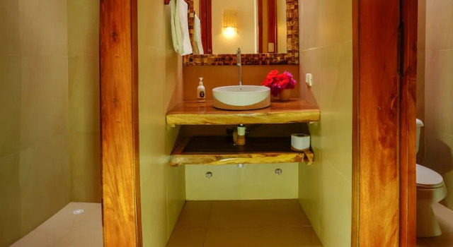 Двухместный номер Deluxe Hotel Kundalini