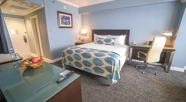 Двухместный люкс c 1 комнатой The Jamaica Pegasus Hotel