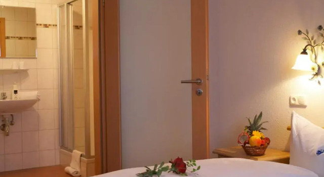 Номер Standard Alpenhotel Ernberg