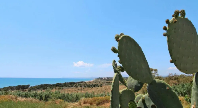 Апартаменты Apartment in Sicily Near Sandy Beach