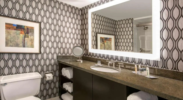 Двухместный номер Standard DoubleTree by Hilton Chicago Schaumburg