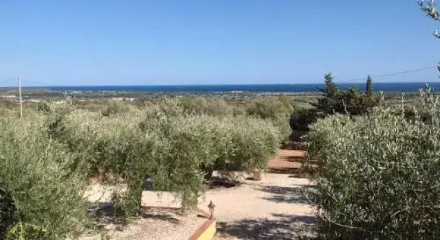 Rustico degli Ulivi
