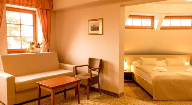 Люкс с балконом Hotel VÍTKOVA HORA