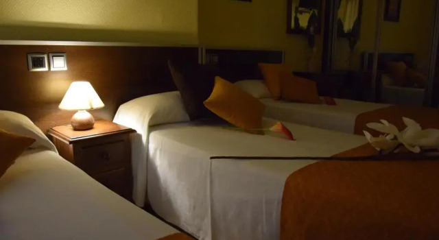 Трёхместный номер Standard Hotel Complutense