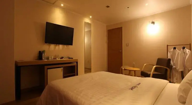 Двухместный номер Deluxe Hotel violet