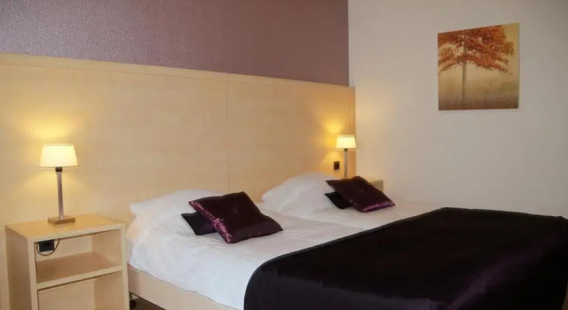 Двухместный номер Standard Brinkhotel