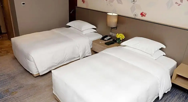 Номер Superior Hilton Garden Inn Zhongshan Guzhen