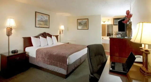 Одноместный номер Standard Best Western Torchlite