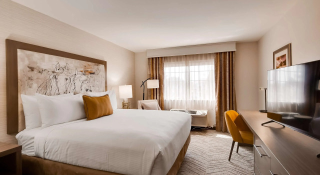 Двухместный номер Standard Aiden by Best Western Scottsdale North