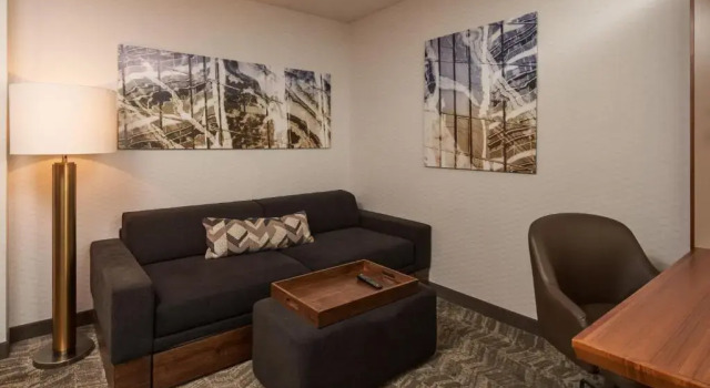 Люкс SpringHill Suites by Marriott Philadelphia Airport / Ridley Park