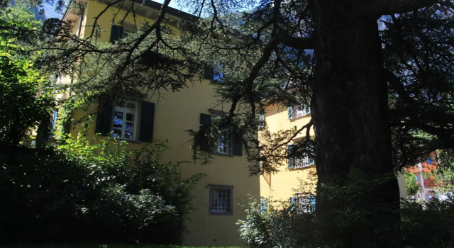 Villa Angelica