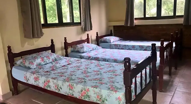 Natureza Pura