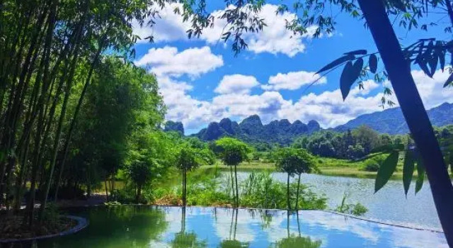 Egret flying, Rezervasyon Otel Guangdong otoparklı oteller, Otopark