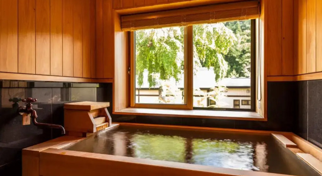 Двухместный номер Economy с видом на реку Yukemuri no Yado Inazumi Onsen