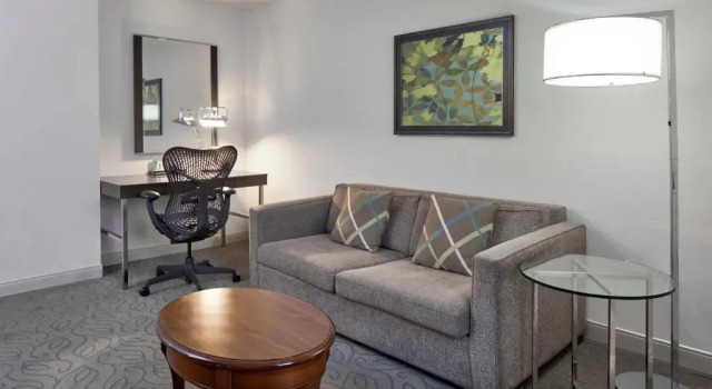 Полулюкс Hilton Garden Inn Atlanta Midtown