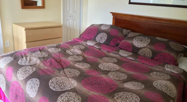 Hollywood Beach Flamingo, Rezerwuj Apartamentowiec hotelowy Apart-hotele w Panhandle Florida, Apartamentowiec hotelowy
