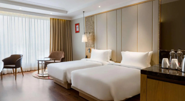 Двухместный полулюкс Radisson Bhopal