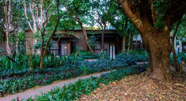 Шале с красивым видом из окна Emdoneni Lodge with Zululand Cat Conservation Project