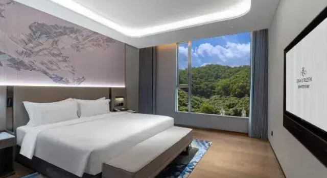 Люкс Deluxe Grand Rezen Hotel Castfast Dong Guan