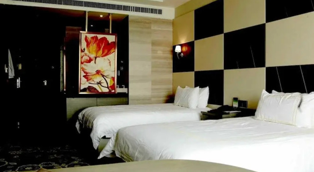 Hangzhou Platinum Hotel Irene