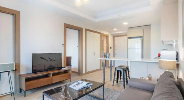 Люкс c 1 комнатой Luxurious Residence in Istanbul