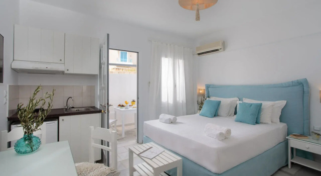 Студия Economy Цокольный этаж Ippokampos Town Apartments