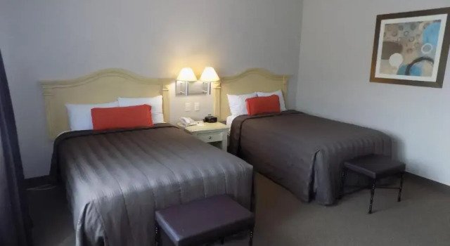 Номер Executive Hotel Real de Minas Bajio