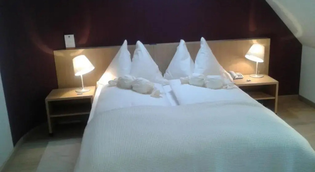 Одноместный номер Standard с видом на горы Hotel Jean-Jacques Rousseau