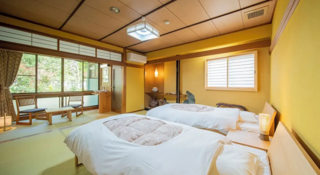 Camera Standard Yanagiso