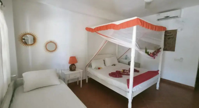 Двухместный номер Standard Lily Palm Resort