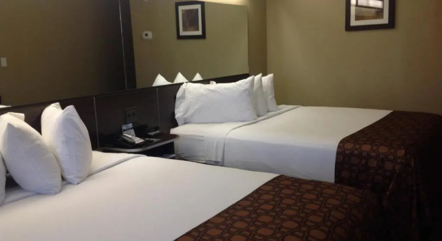 Четырёхместный номер Standard Garner Hotel Gonzales by IHG