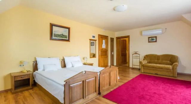 Двухместный номер Standard Vinum Hotel