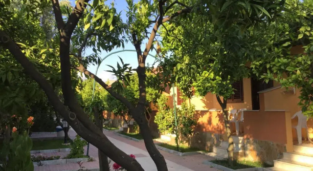 Бунгало Standard Ozlem Garden Hotel