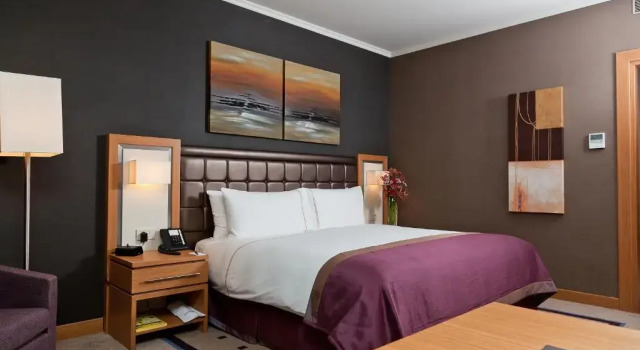 Camera Superior Divan Erbil Hotel