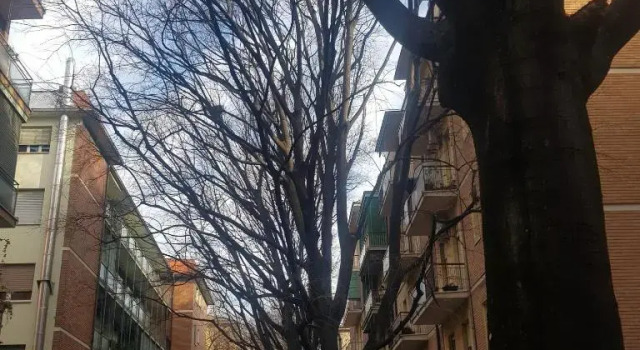 Laghirla, appartamento adiacenze centro storico, Varaa Huoneisto Hotellit Modena pysäköinnillä, lähellä Piazza Grande, Pysäköinti