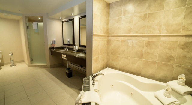 Двухместный люкс Holiday Inn Hotel & Suites-West Edmonton by IHG