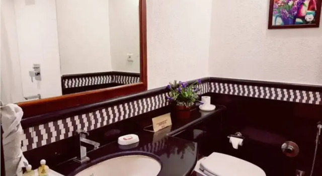 Номер Deluxe Hotel Punjab Palace
