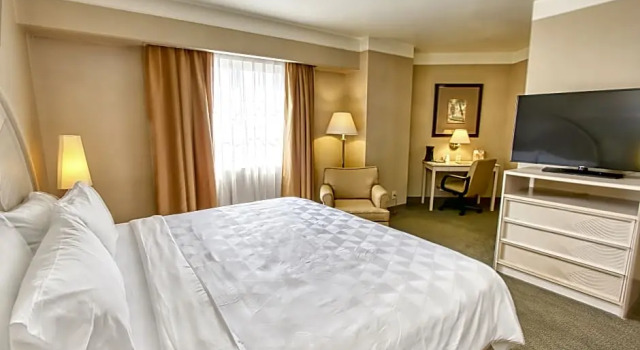 Номер Premium Holiday Inn Leon - Poliforum by IHG