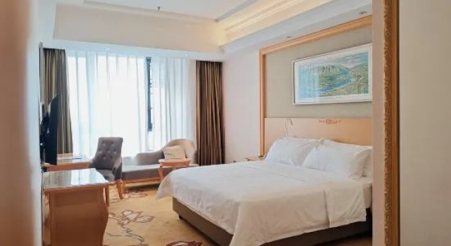 Люкс Deluxe Vienna Hotel (Langzhong High-speed Railway Station)