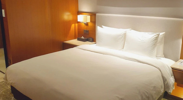 Двухместный номер Standard Hotel Skypark Central Seoul Pangyo