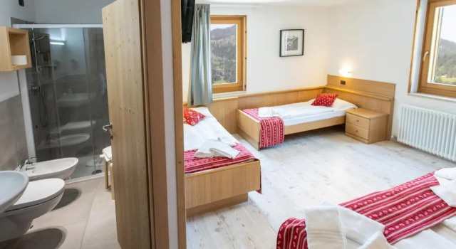 Четырёхместный номер Standard Ciasa Alpina Relax Hotel