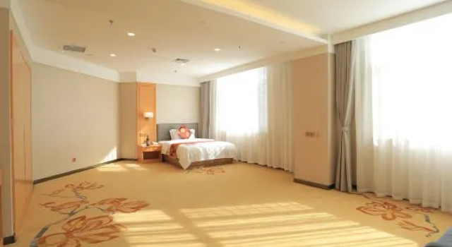 Люкс Deluxe Vienna Classic Hotel (Dalian Zhongshan Square Renmin Road)