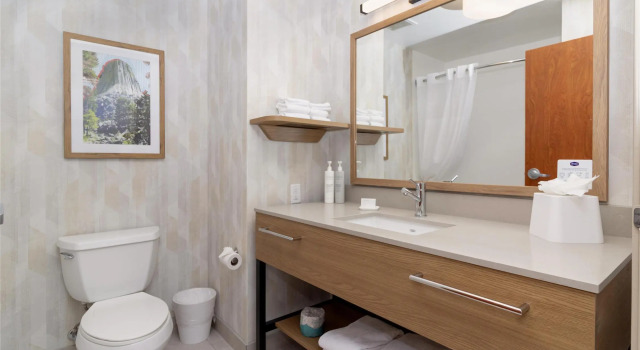 Четырёхместный номер Standard Hampton Inn Rock Springs