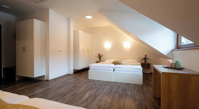 Двухместный номер Classic с видом на сад Guesthouse Stari Mayr