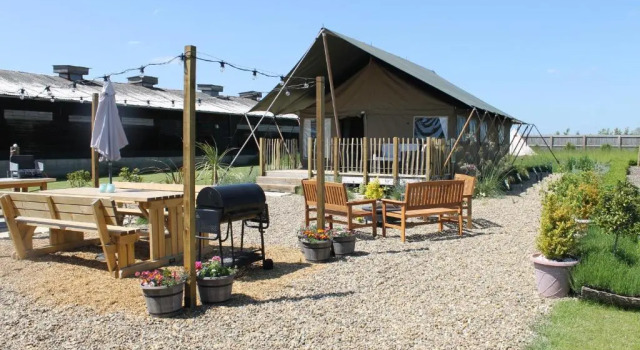 Cort Green Rabbit Glamping